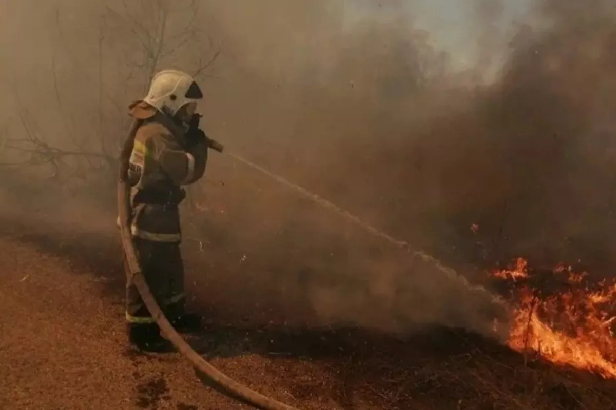 Extreme Fire Alert in East Kazakhstan as Temperatures Near 50°C