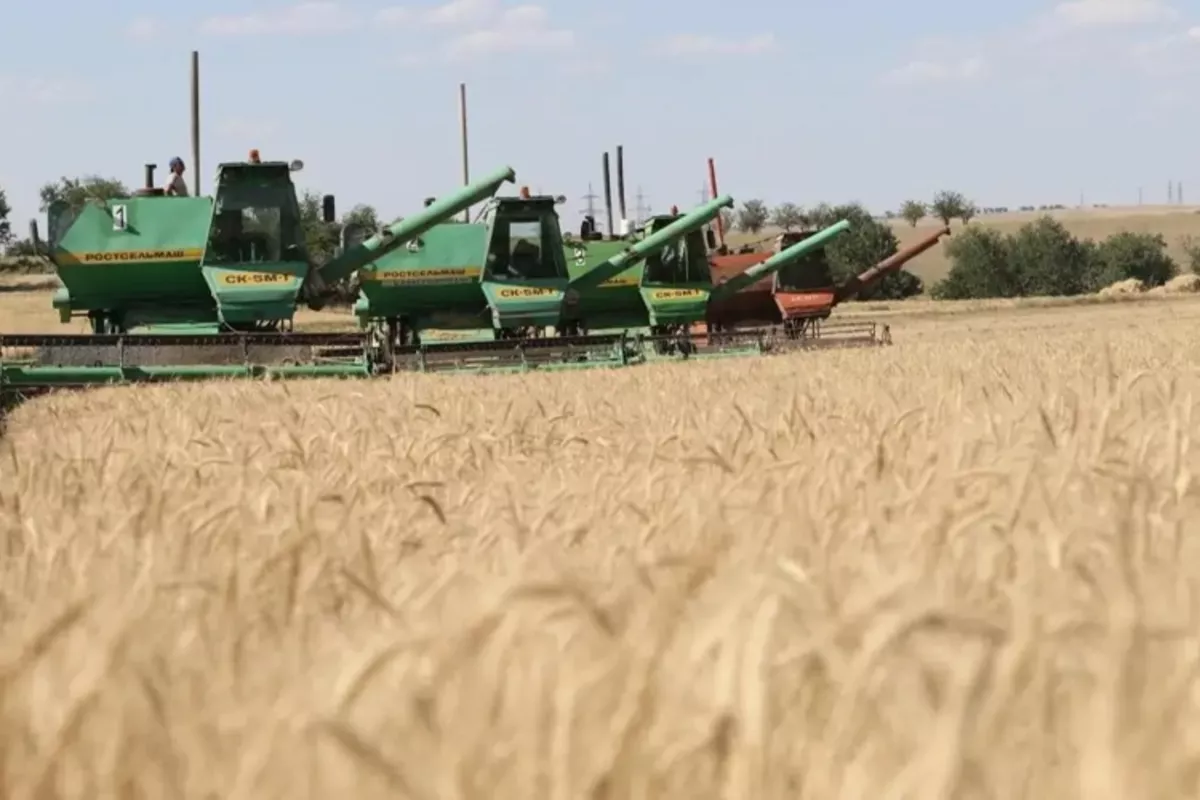 Kazakh Government to Review Harvest Results and Boost Sports Development