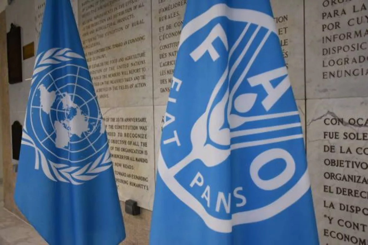 Turkmenistan, FAO Launch Project to Restore Climate-Hit Lands