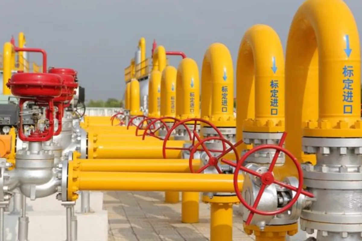 Gas Trade Pivot: Uzbekistan Expands China Exports as Regional Imports Slump