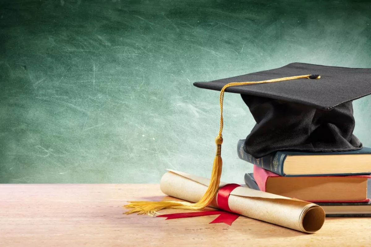 Uzbekistan, Georgia Explore Expanded Cooperation in Education and Youth Initiatives