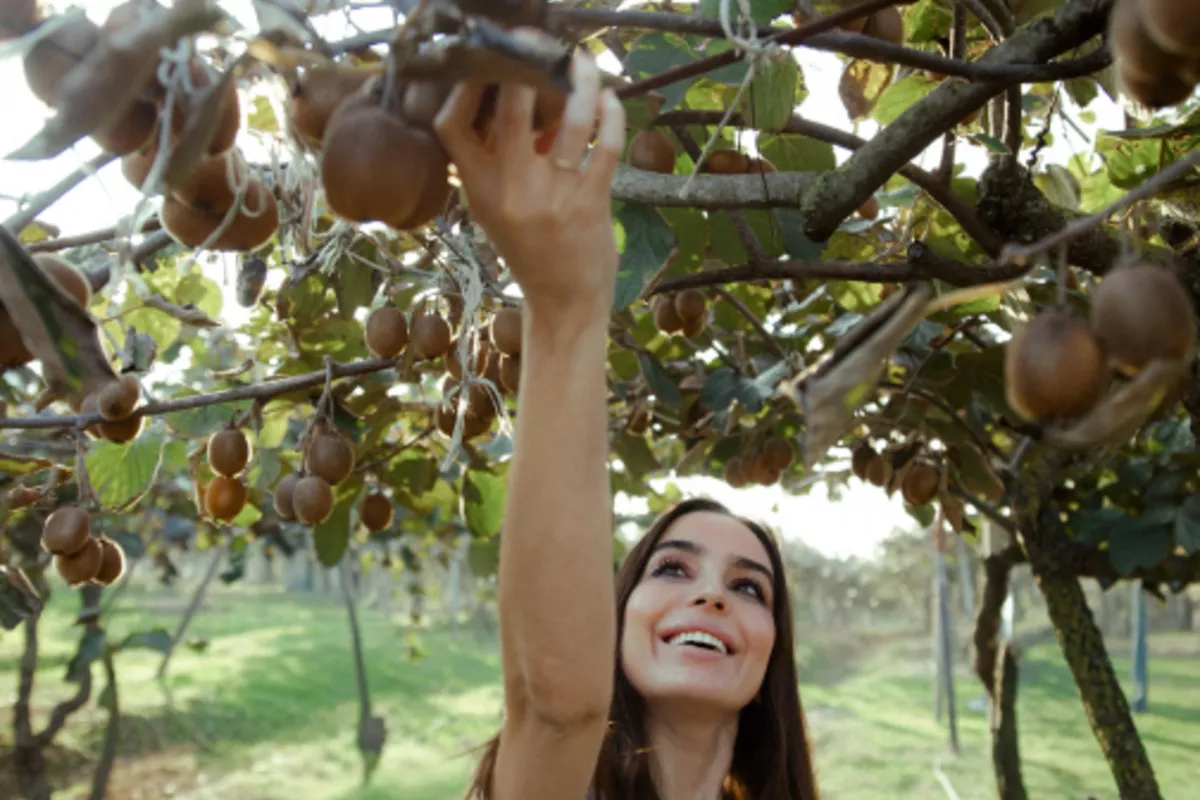 Azerbaijan's Heydar Aliyev Foundation VP Visits Popular Lankaran Farm “Citrus Valley”