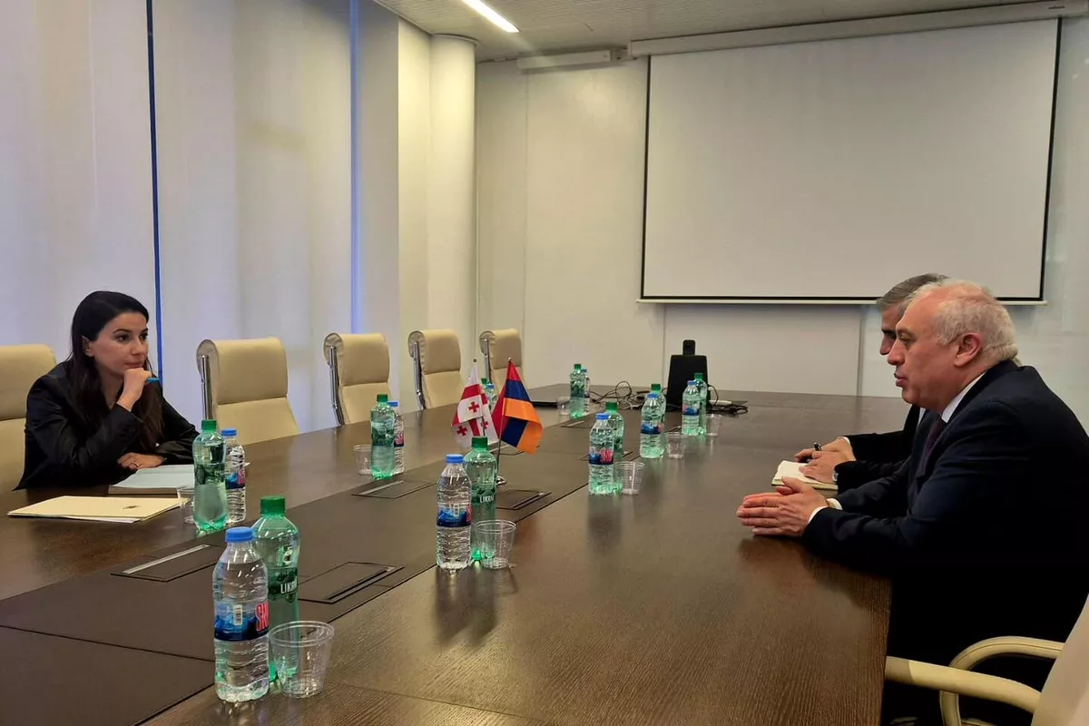 Armenian Ambassador, Georgian Minister Discuss Expanding Ties