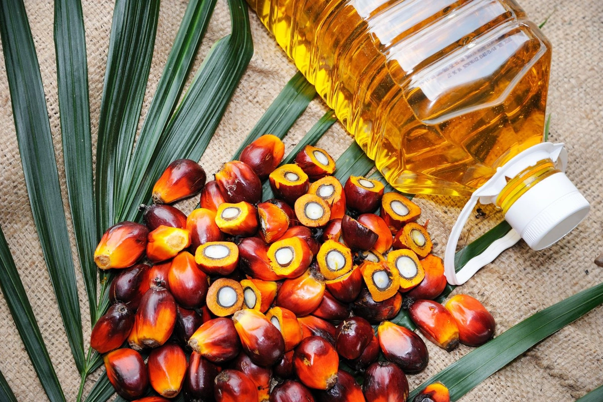 Malaysia Exports RM288.23M in Palm Oil to Central Asia in 2024