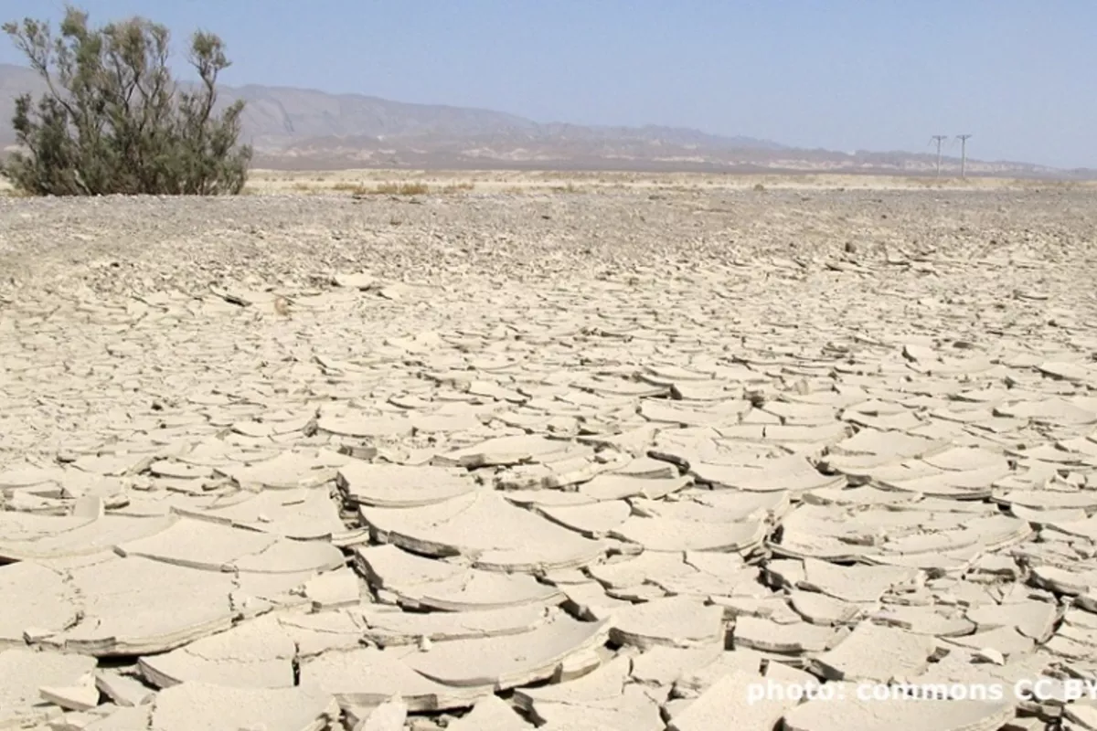 Water Scarcity in Central Asia Poses Risks for China, EU