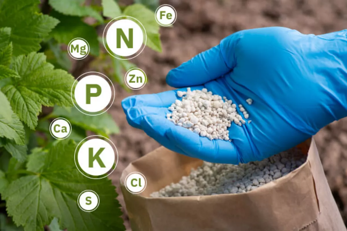 Kyrgyzstan Ramps Up Fertilizer Purchases From Russia