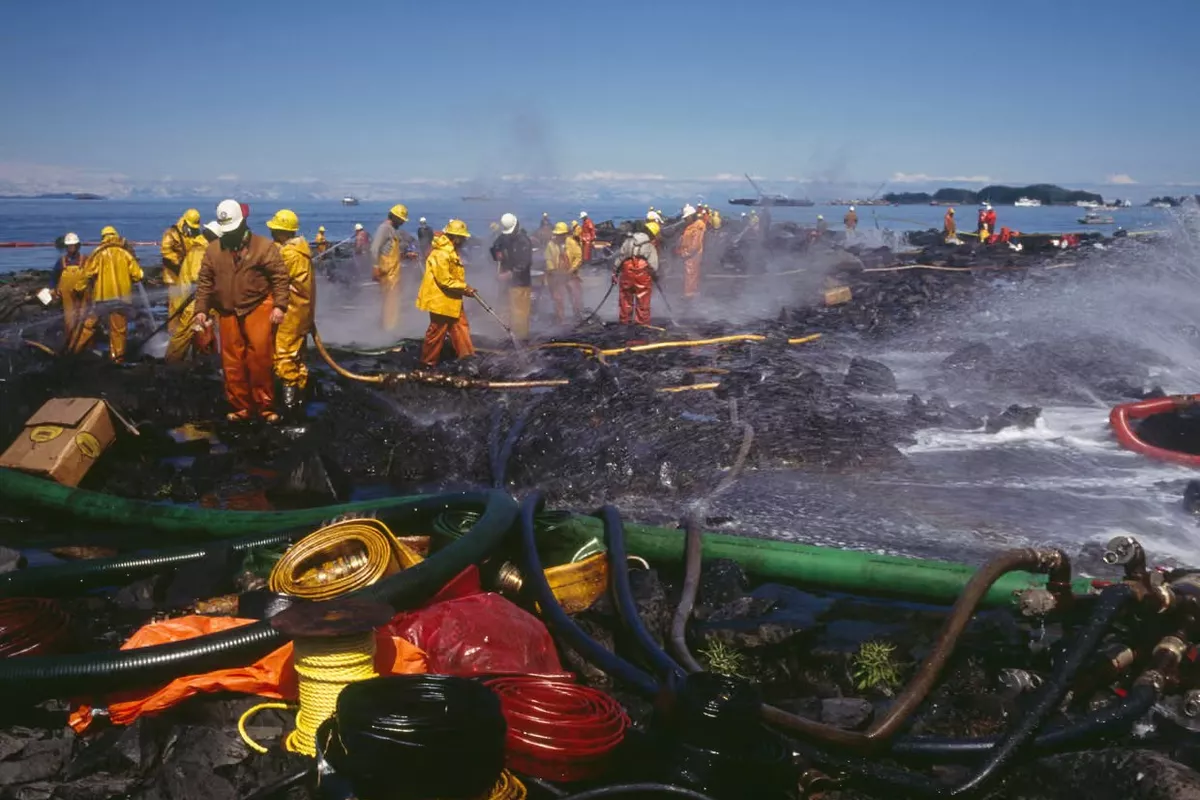 Iran’s Shadow Fleet of Old Tankers a Ticking Bomb for Sea Life, Say Experts