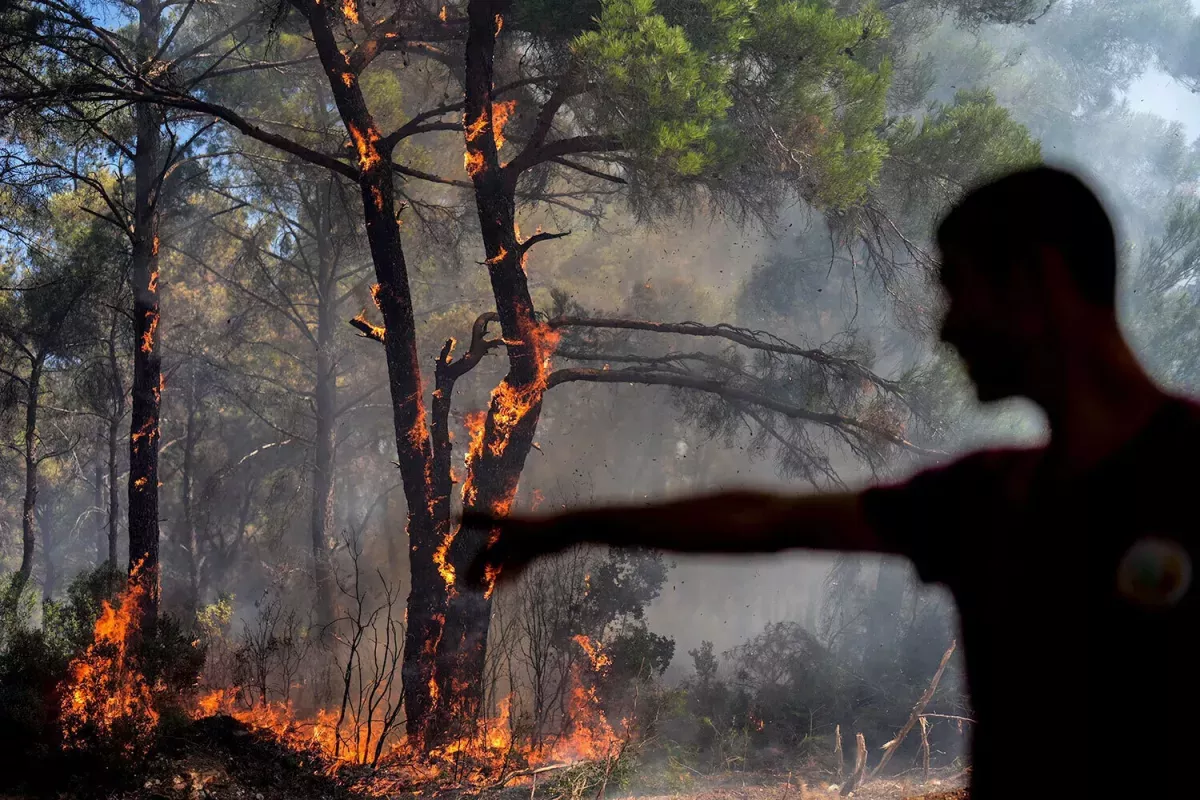 Türkiye Proposes Life Sentences for Forest Arsonists Amid Surge in Wildfires