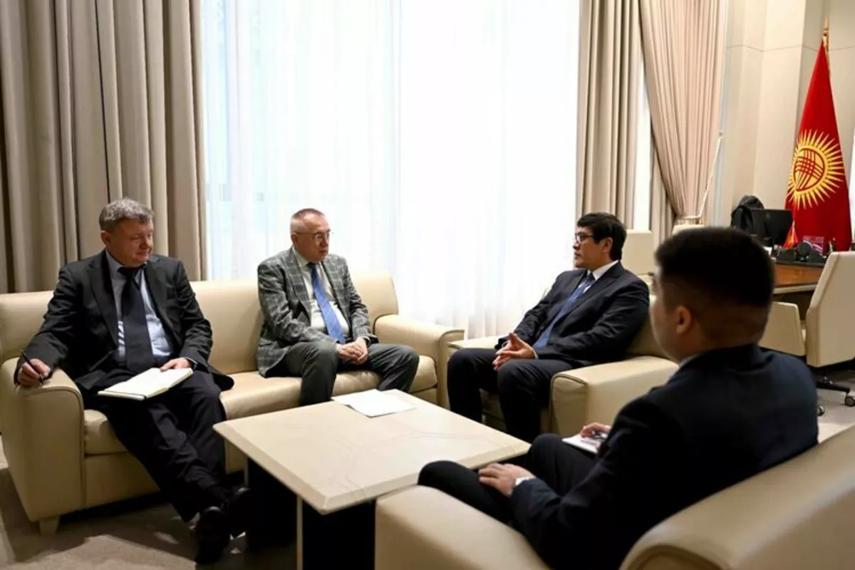 Kyrgyz Deputy PM, Ukraine's Envoy Discuss World Affairs