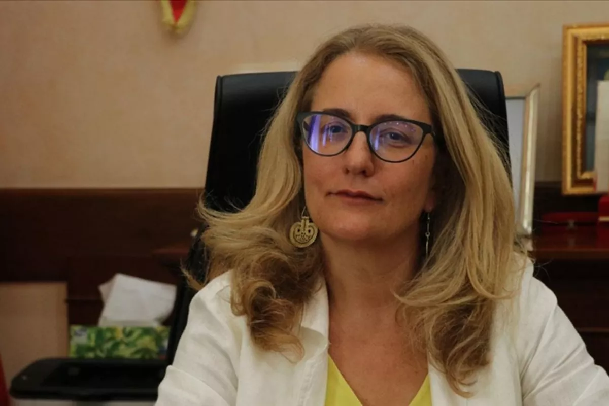 Türkiye Names New Ambassador to Ukraine, Media Reports