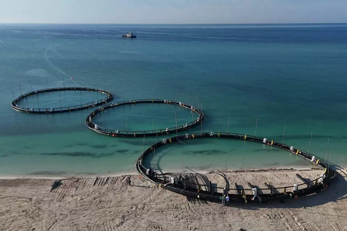 Fishery Sector Thrives in Kazakhstan with Rising Exports