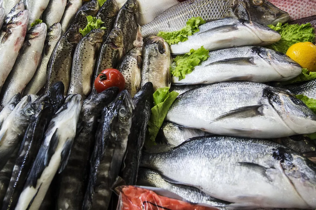 Russia’s Fish Imports from Georgia Hit Record High in May