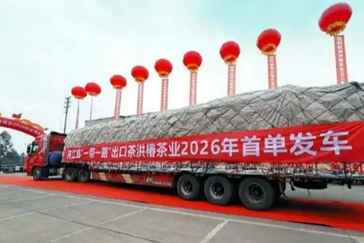 China Ships First 2026 Green Tea Consignment to Tashkent