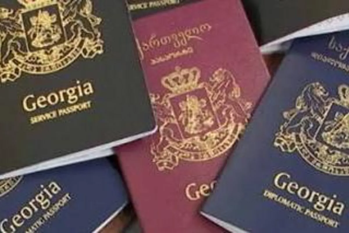 Georgia to Make Residency Easier for IT Professionals