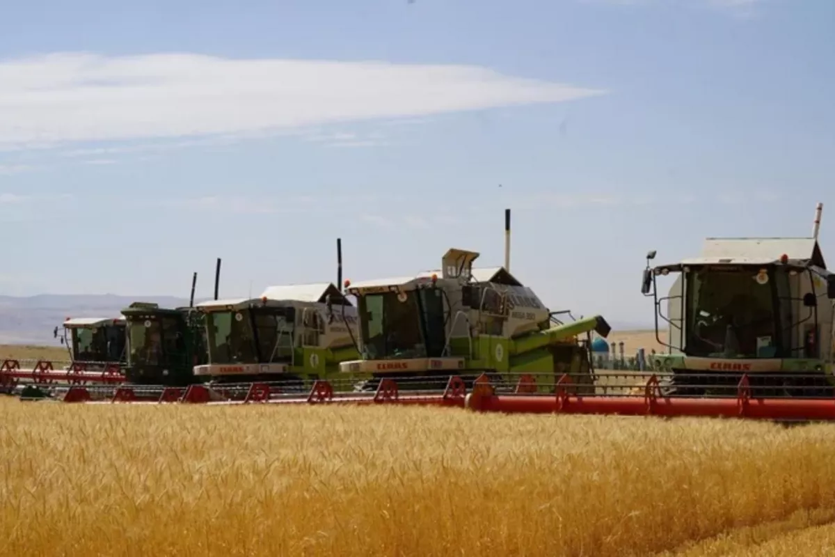 Chinese Investors Launch Two Major Agro-Industrial Projects in Kazakhstan