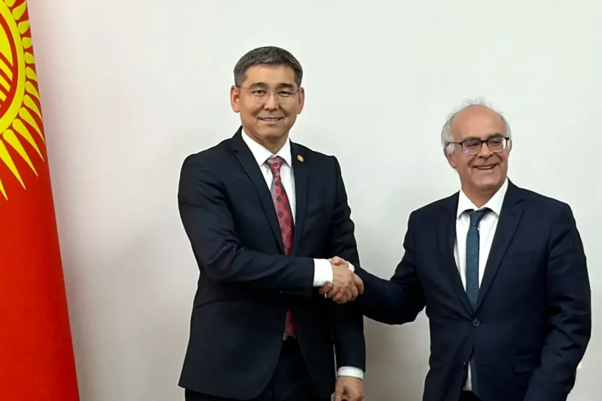 Kyrgyzstan, France Step Up Healthcare Partnership
