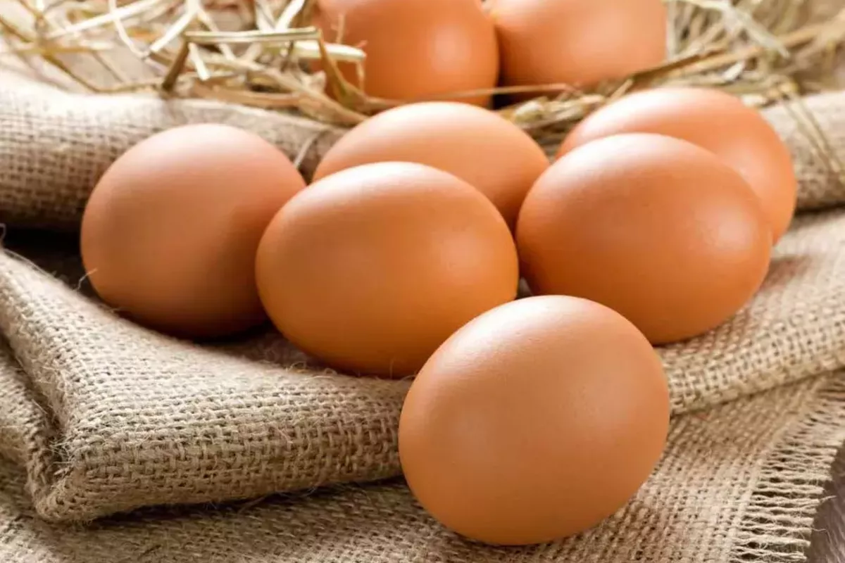 Kyrgyzstan's Egg Exports to Kazakhstan Skyrocket Eightfold in 2025