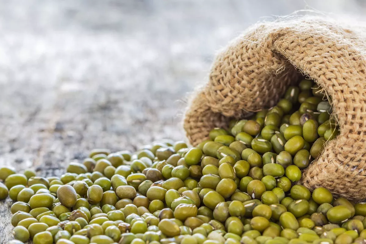 Uzbekistan Boosts Mung Bean Exports to European Markets