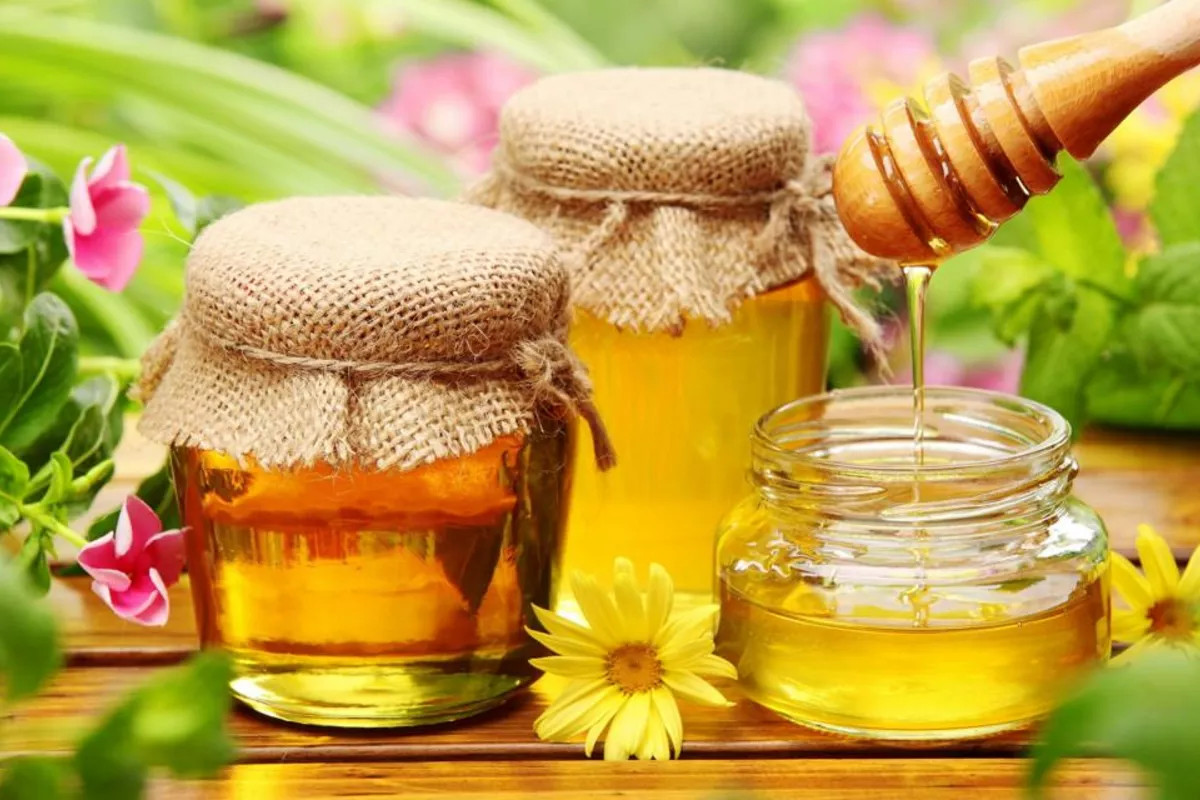 Uzbekistan Opens Market to Kyrgyz Honey in New Agreement