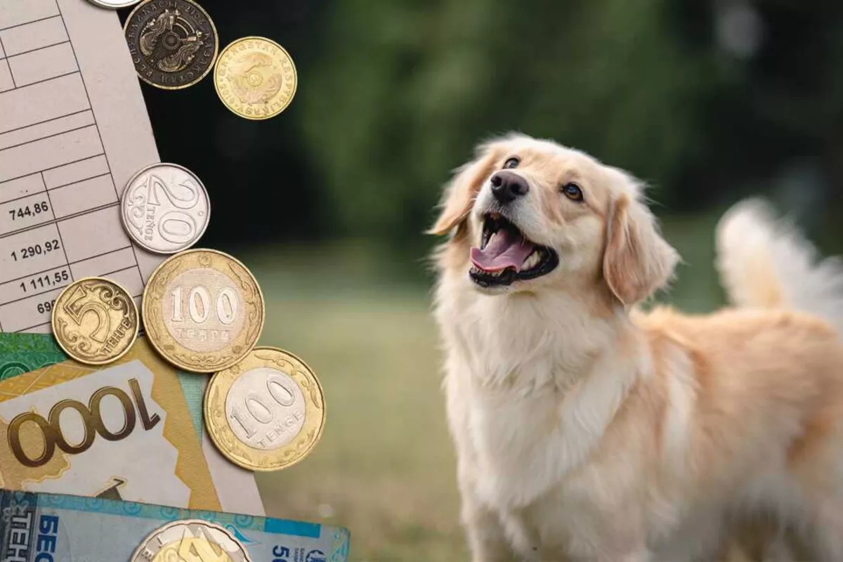 Kazakhstan Considers Taxes for Dog Owners