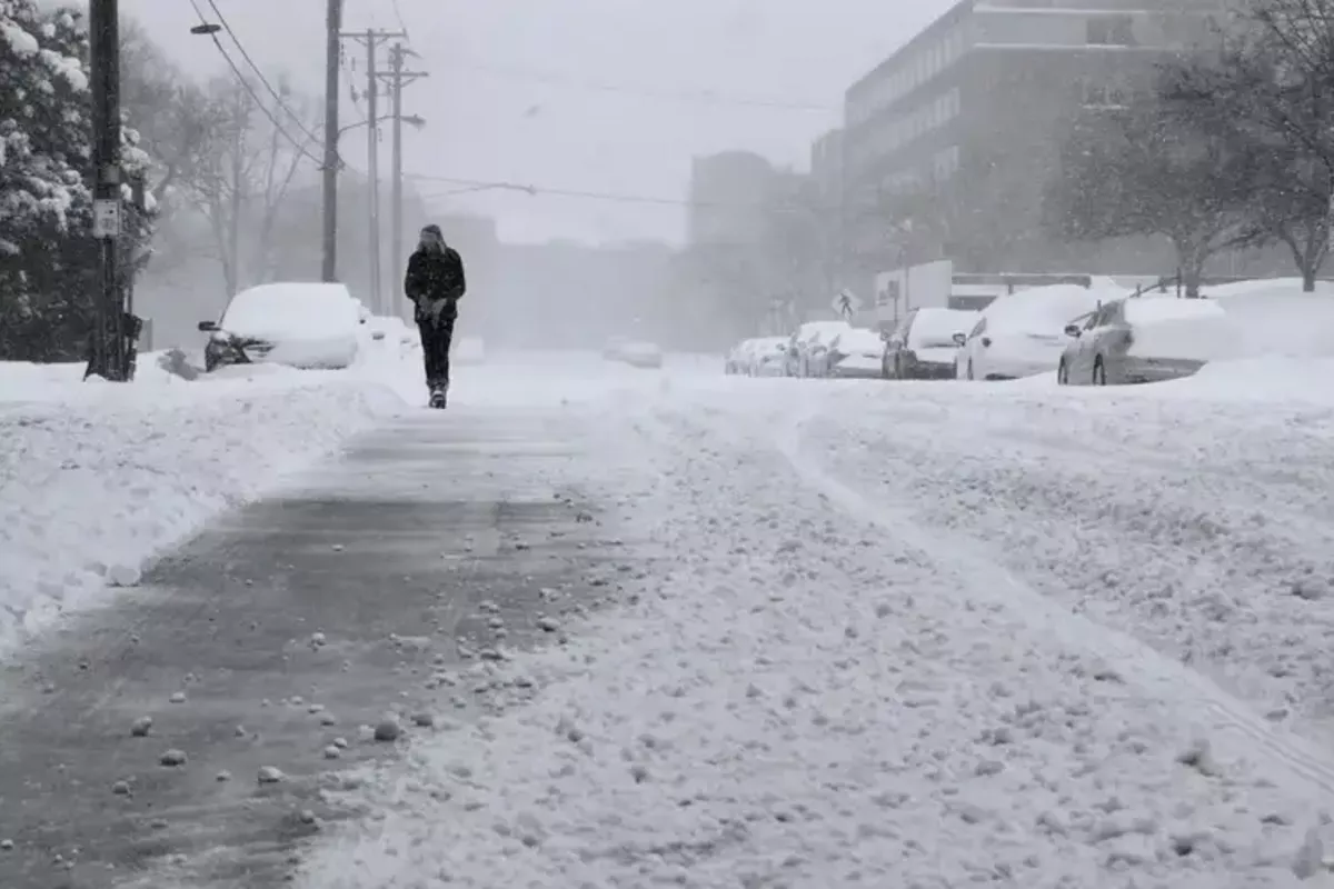 Kazakhstan's East Braces for Severe Frost