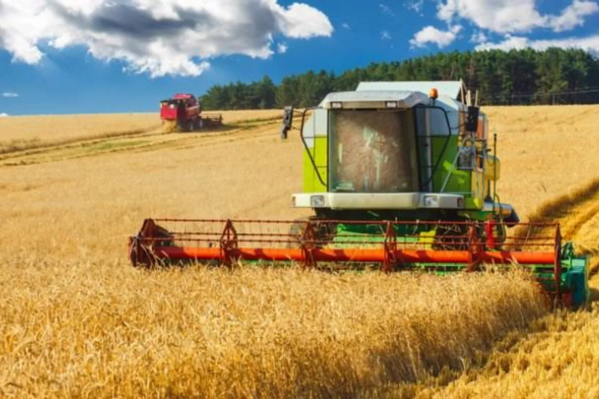 Kazakhstan Emerges as Major Player in Global Wheat Market