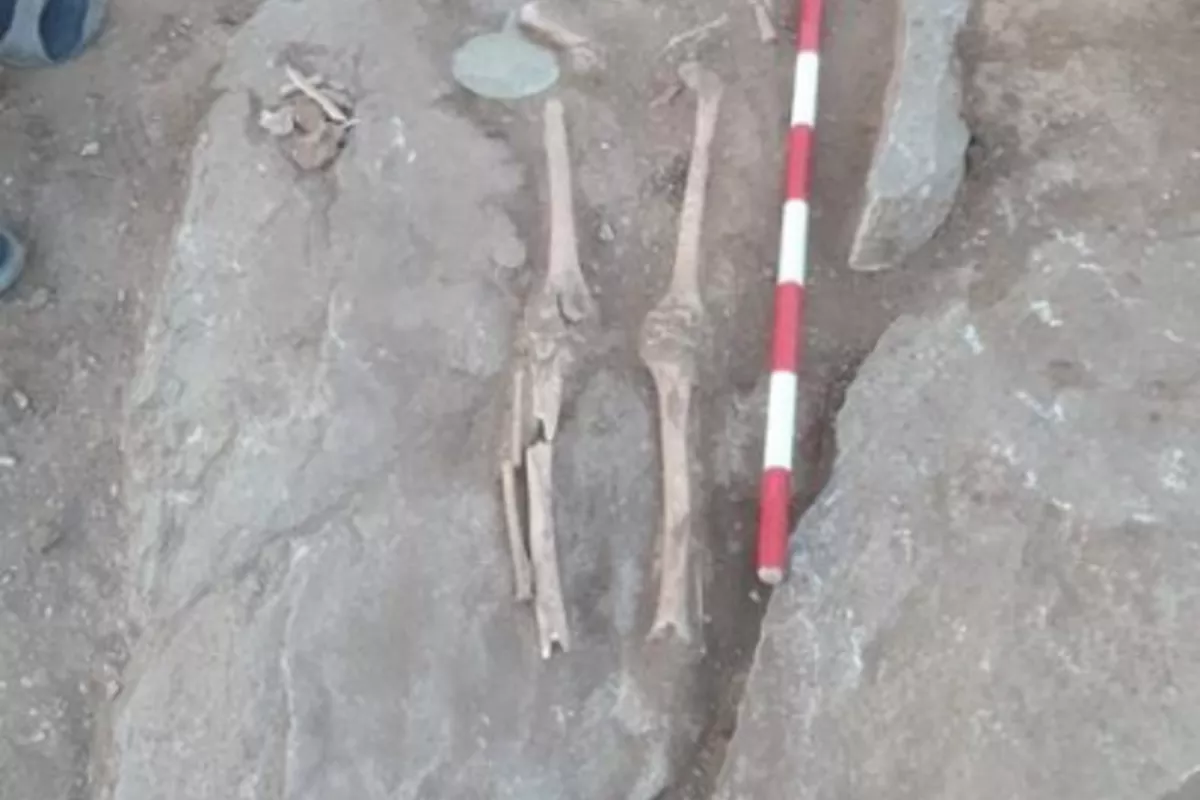 Burial Mound in Kazakhstan Reveals Traces of Two Ancient Civilizations