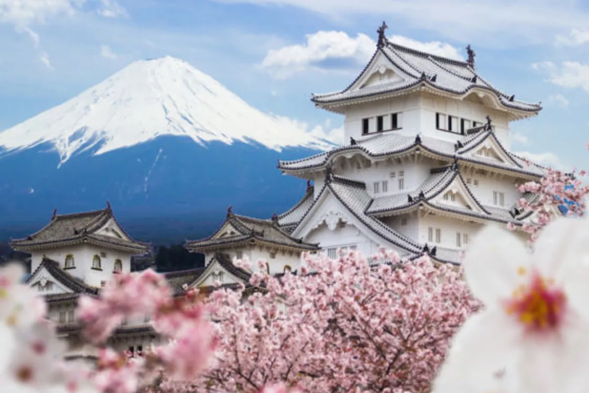 Japan to Host First-Ever Summit With Central Asia in 2025