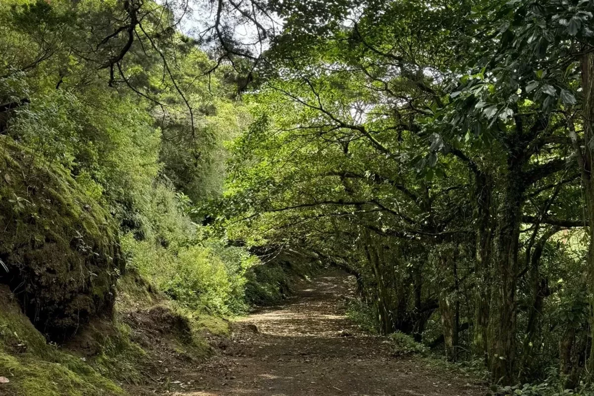 Georgia to Create New National Park Near Azerbaijani Border