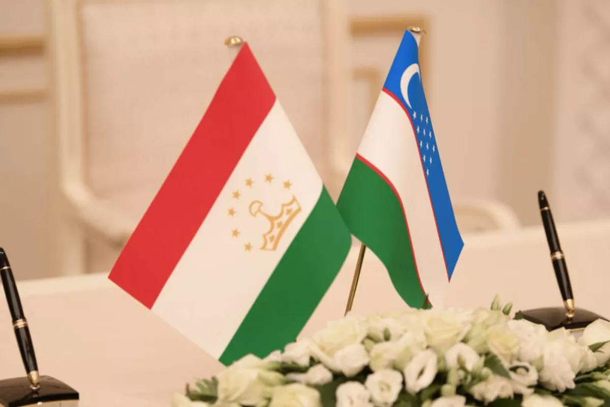 Uzbekistan, Tajikistan Seek to Boost Energy Cooperation