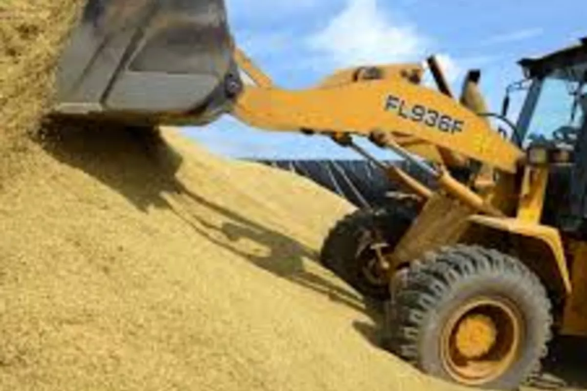 Fergana Tops Grain Production in Uzbekistan with Record Harvest