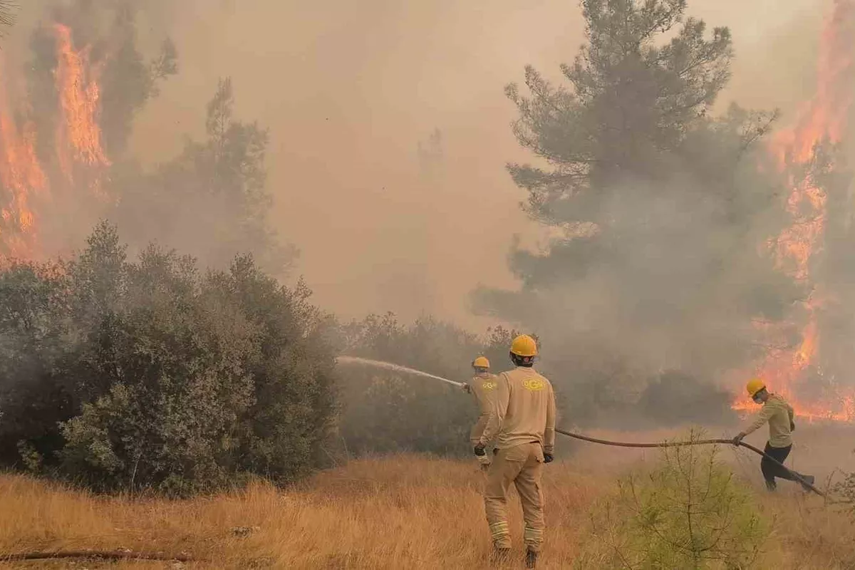 Wildfire Spreads in Türkiye's Antalya as Hundreds Evacuated