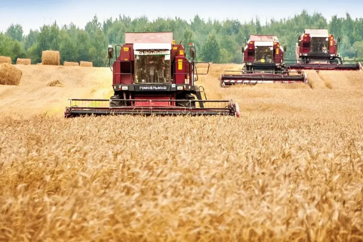 Uzbekistan to Develop Livestock Farming on Leased Land in Belarus