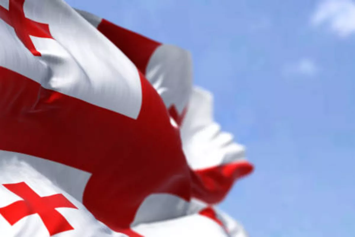 Exclusion from Peace Board and Davos Leaves Georgia Concerned