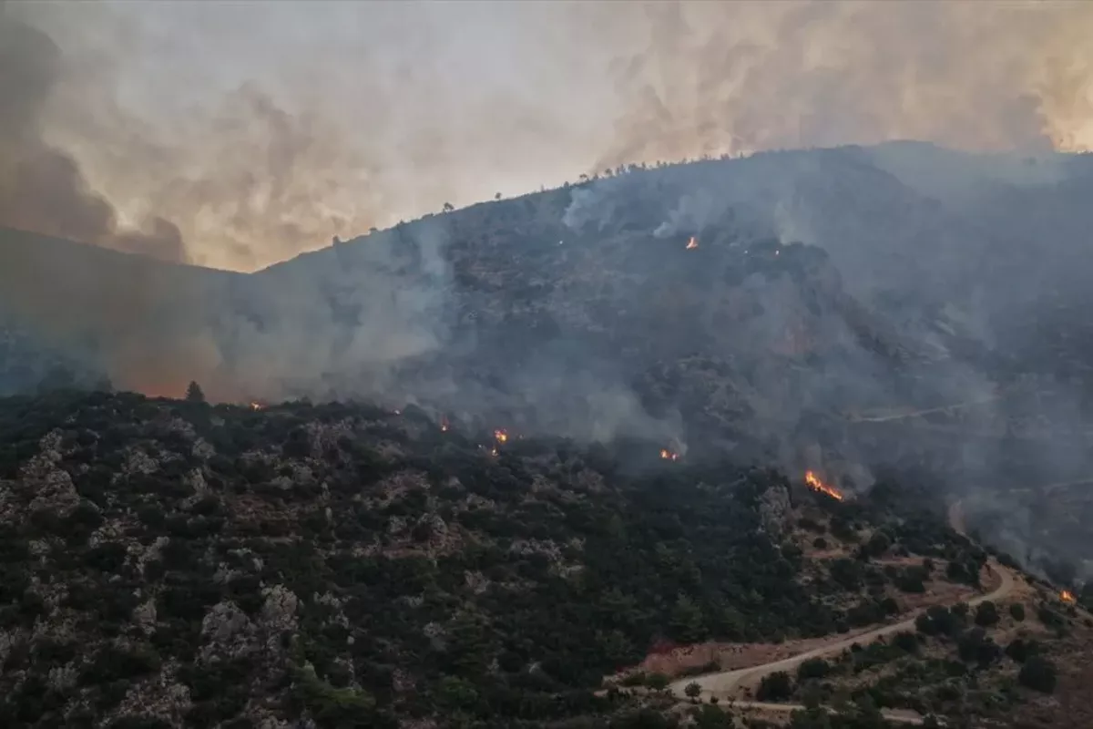 Wildfires Spread Across Türkiye as Strong Winds Fuel Blazes