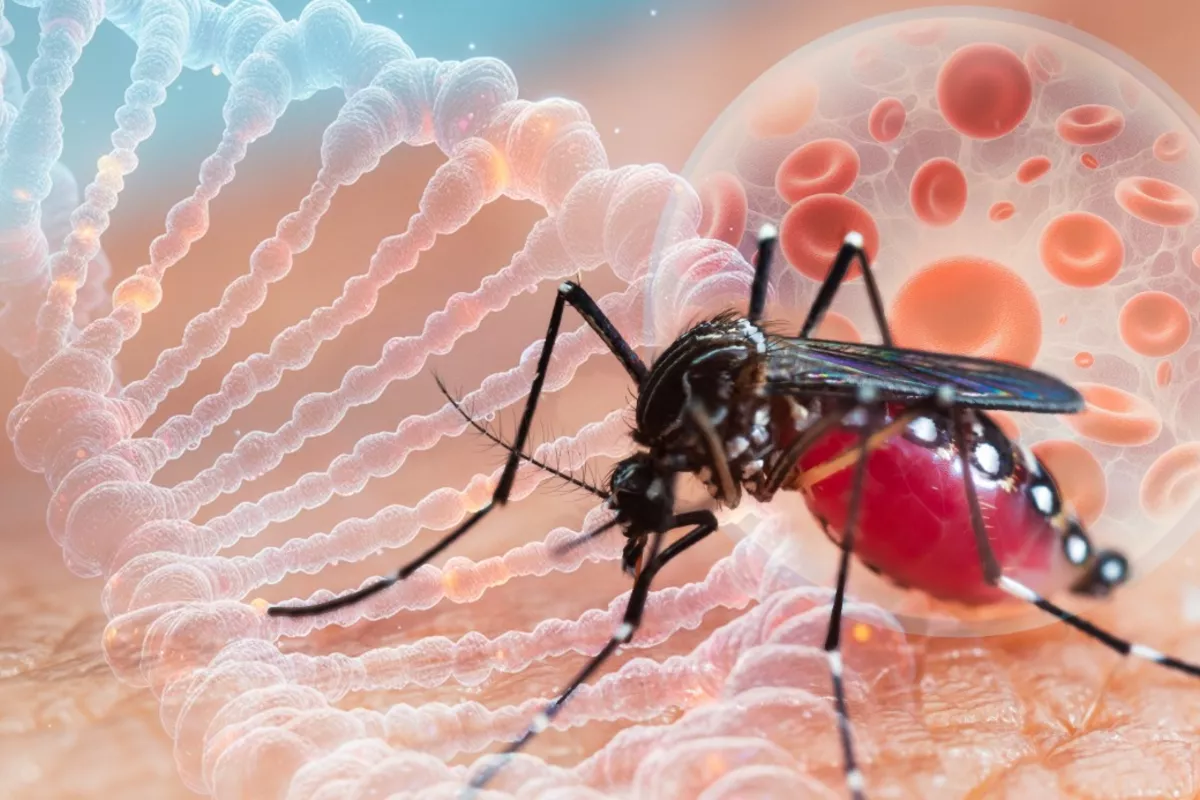Russia Reports First Imported Case of Chikungunya Fever