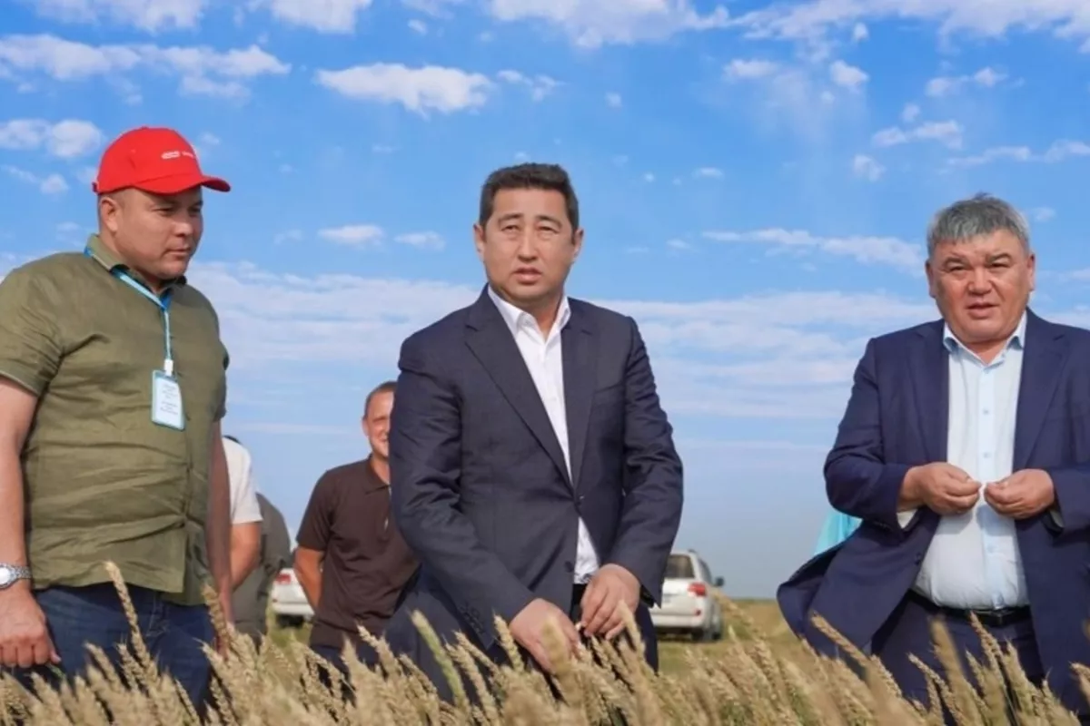 Kazakhstan's Kostanay Unveils $1 Billion Agriculture Investment Drive with 42 New Projects
