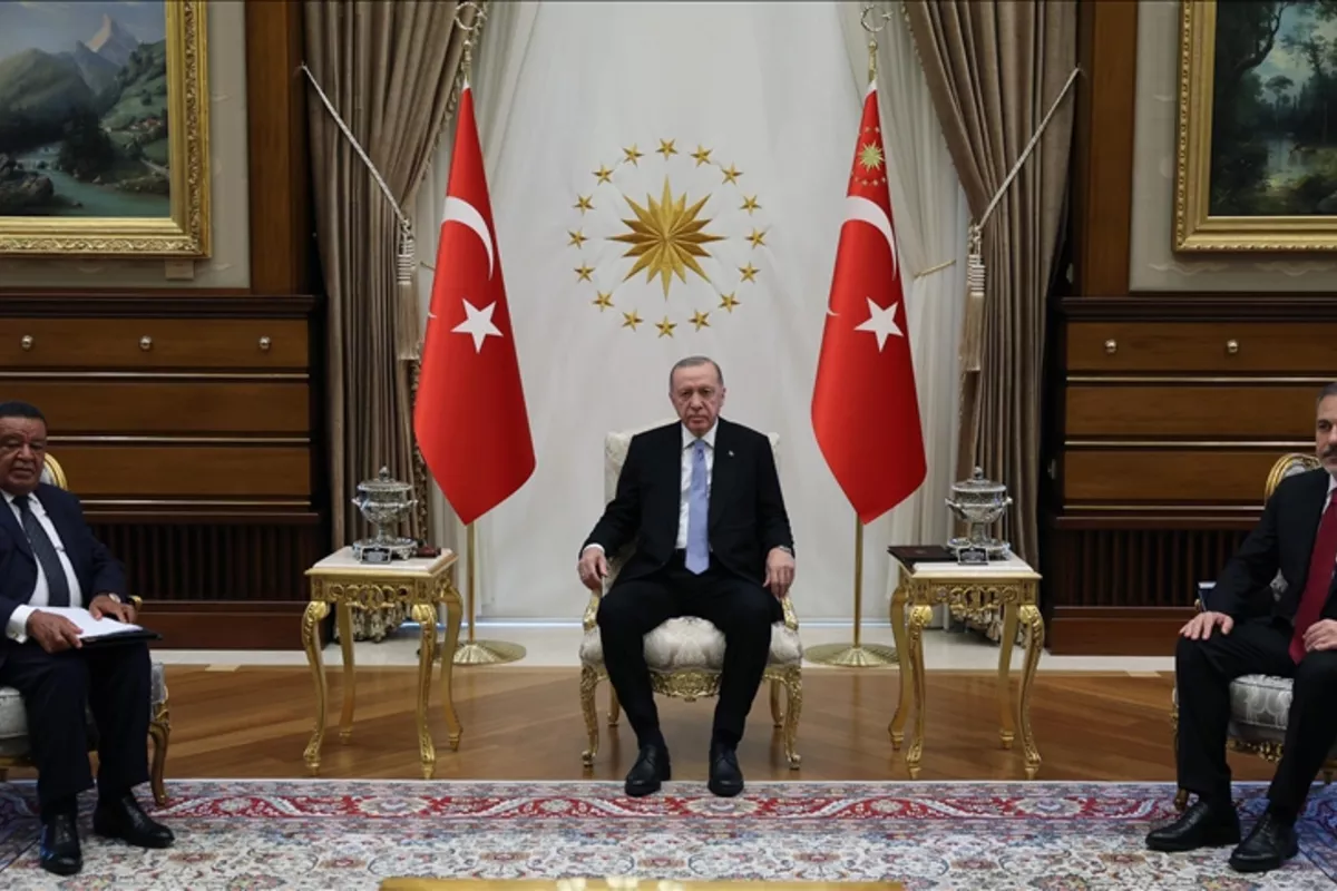 Erdogan's Visit to Ethiopia: A New Geopolitical Balance in the Horn of Africa