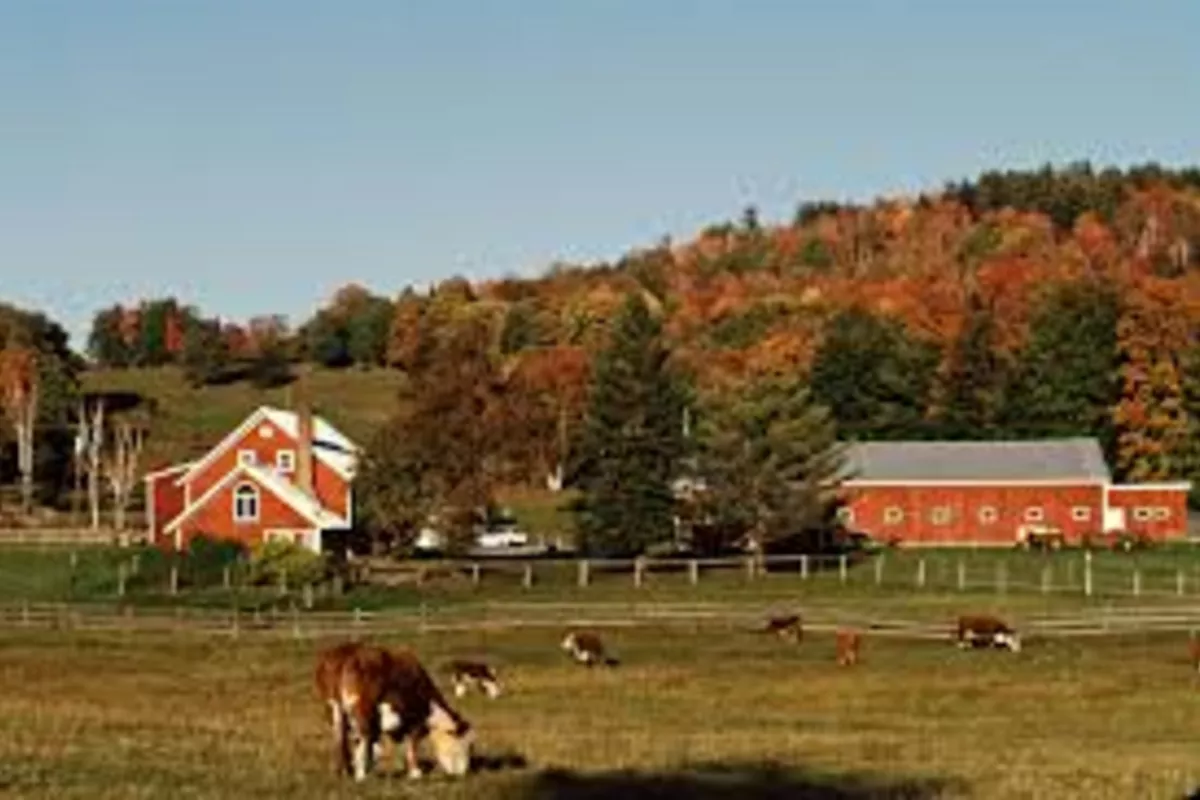 Uzbek Workers to Get Jobs on US Farms Under New Migration Deal