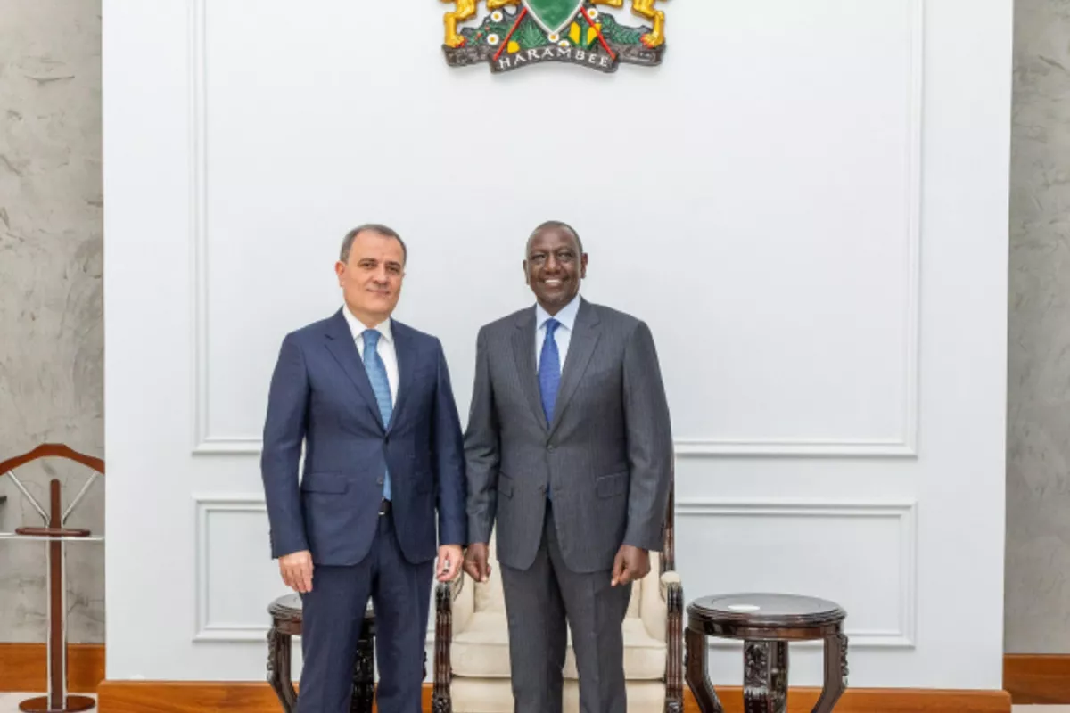 Azerbaijan, Kenya Seek Closer Cooperation in Many Areas