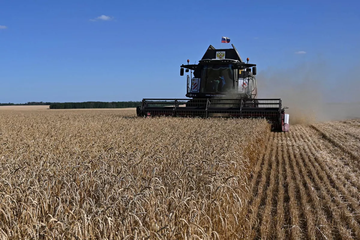 Russia Loses Most of its Wheat Buyers in a Year