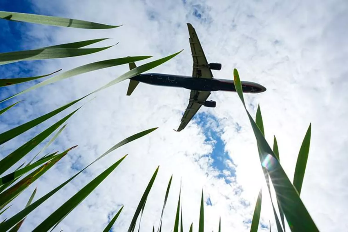 Russia and Serbia Agree to Expand Air Links With Kaliningrad Flights