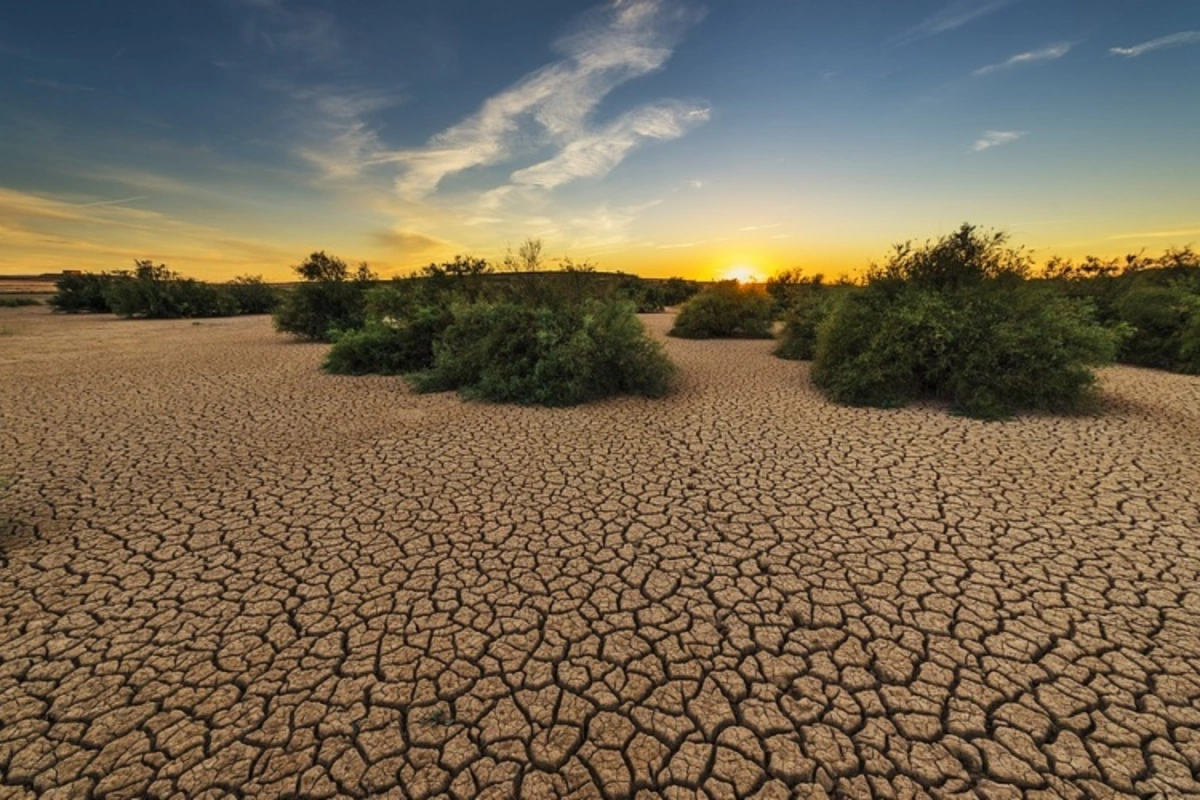 Central Asia's Water Crisis: A Global Challenge Demanding Global Solutions