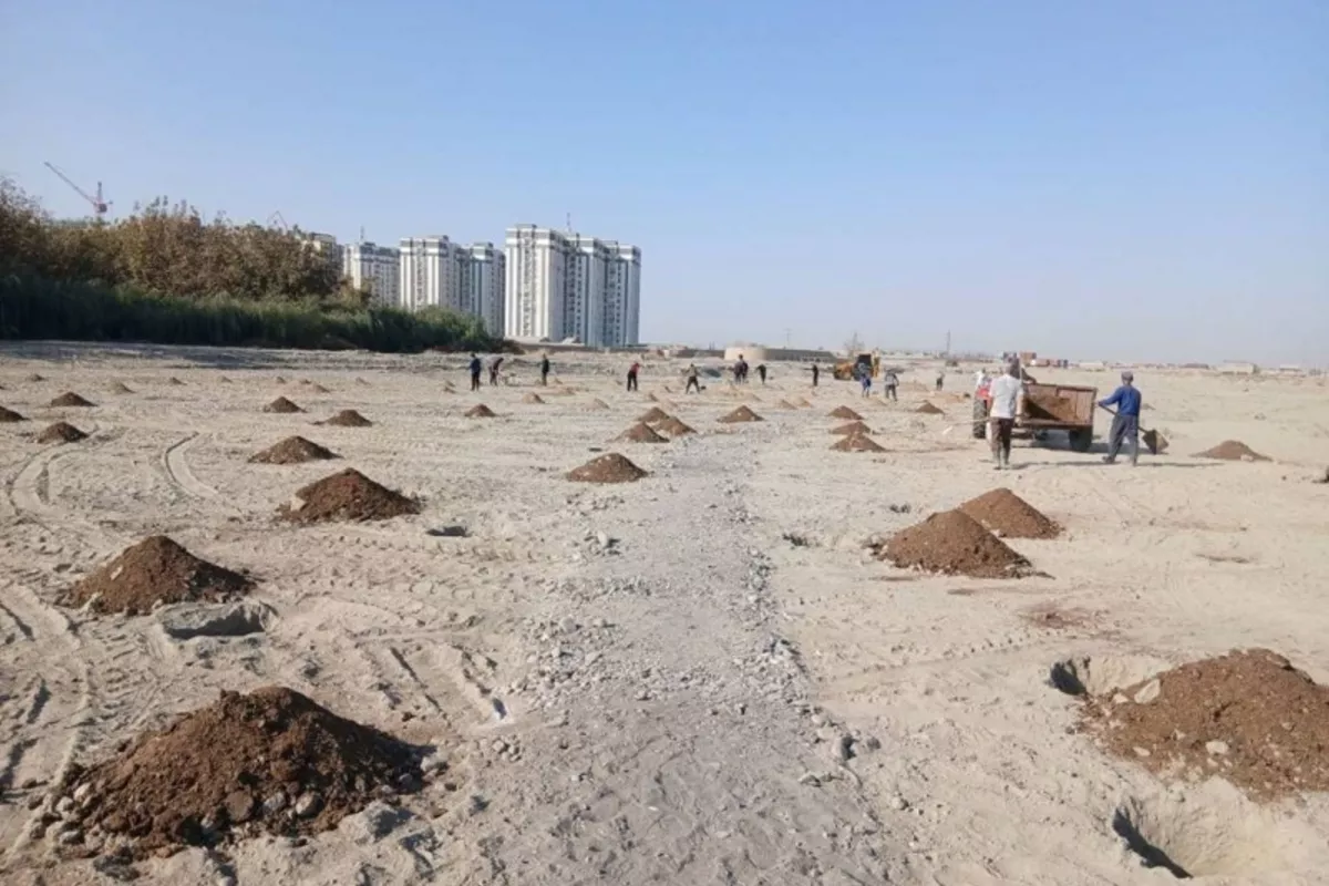 UNESCO Park in Uzbekistan's Samarkand Set to Transform City into Eco-Cultural Haven