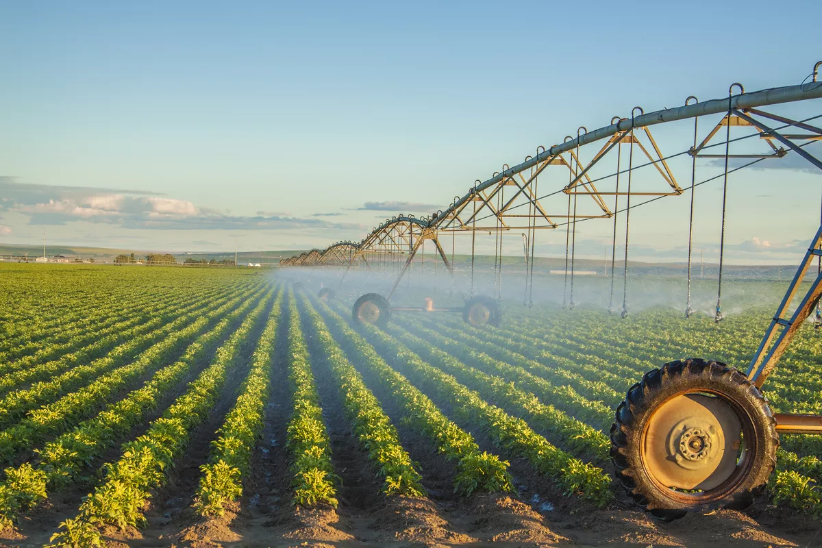 Kyrgyzstan Expands Crop Production