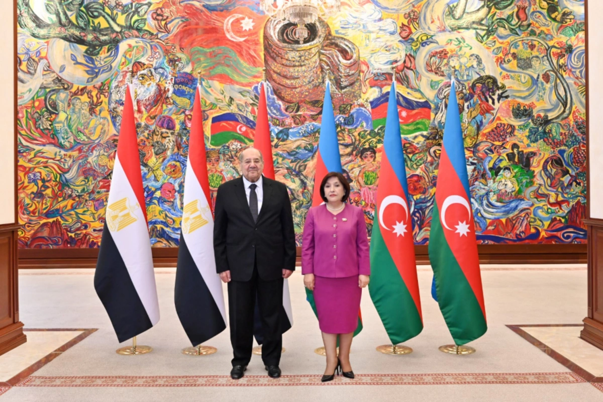 Azerbaijan and Egypt Discuss Strengthening Interparliamentary Cooperation