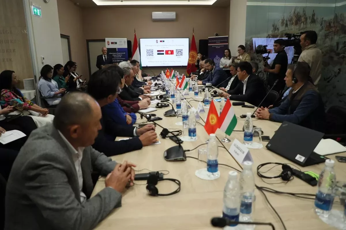 Hungarian Firms Ready to Partner with Kyrgyzstan on HPP Construction