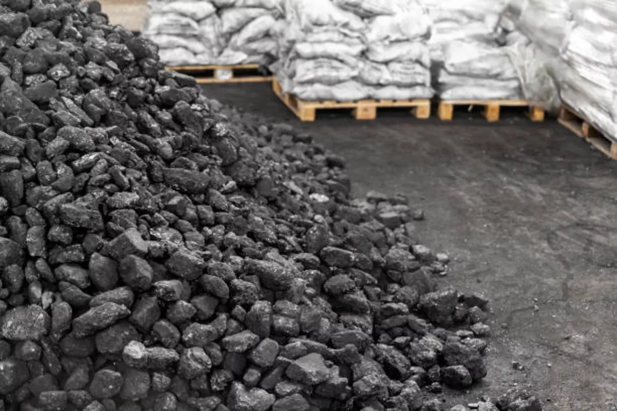 Kyrgyzstan Bans Use of Powder-Like Coal to Improve Air Quality in Bishkek