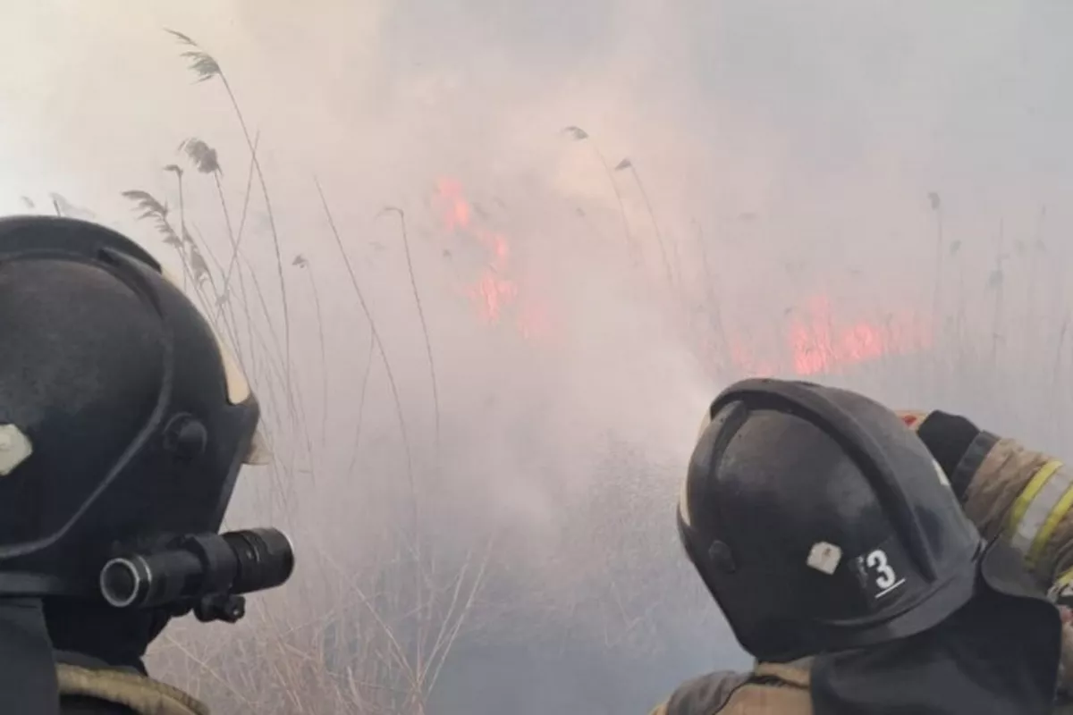 Major Fire Breaks Out at Hostel in Russia's Moscow - VIDEO