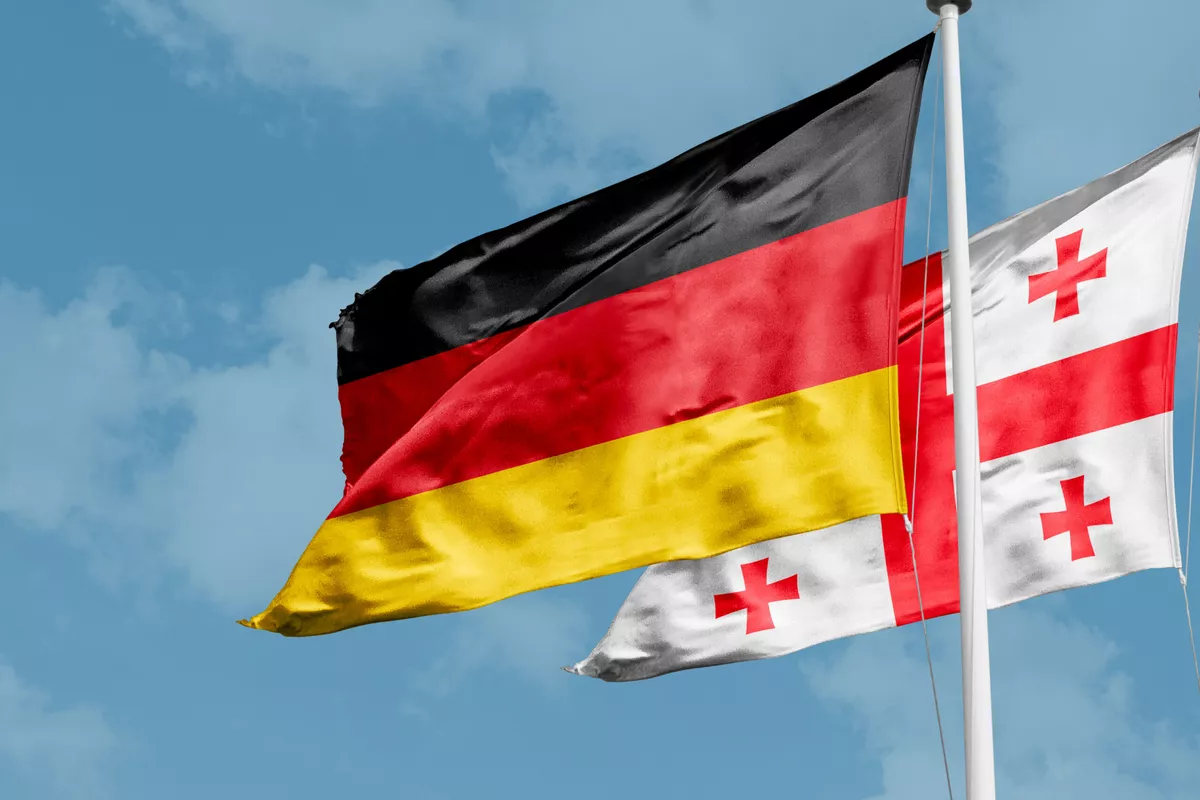 Key Differences Between Georgia and Germany’s Laws on Rejecting Government Legitimacy